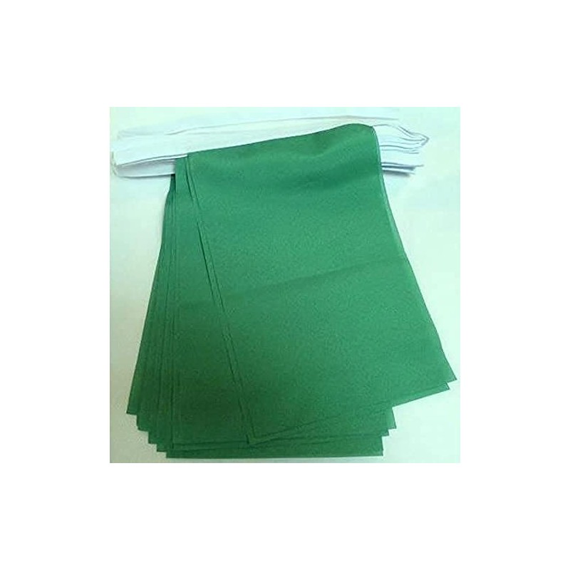 Plain Green Bunting 20 flags 18'' x 12''