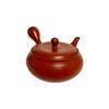 Japanese Kyusu tokoname Clay Teapot 10.8 fl.oz. Takeharu Red Clay