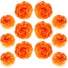 Ruidee 12 Pieces Tissue Paper Pompoms 10in and 12in Hanging