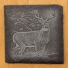 Deer Wildlife (4 images) Set #1 Coasters - Square Slate