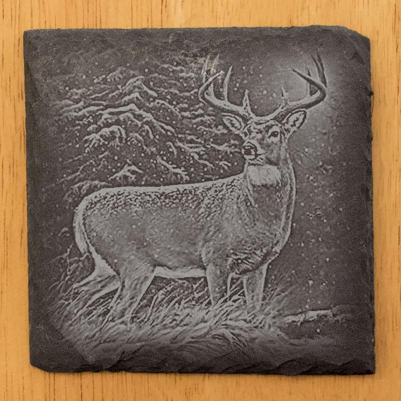Deer Wildlife (4 images) Set #1 Coasters - Square Slate