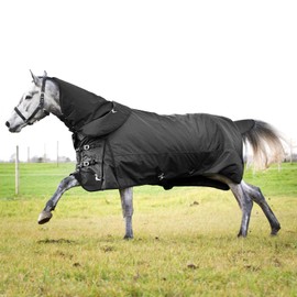 HORZE Nevada Medium Weight 1200D Waterproof Horse Turnout Blanket (200g Fill) - Black - 60 in