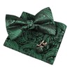 Alizeal Mens Gradient Paisley Bow Tie Pre Tied Pocket Square