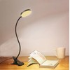 CRISETEK Clip on Desk lamp, Reading Light, Reading lamp, Flexible