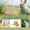 Sukh 4 PCS Rabbit Grass Mats - Natural Hay Woven