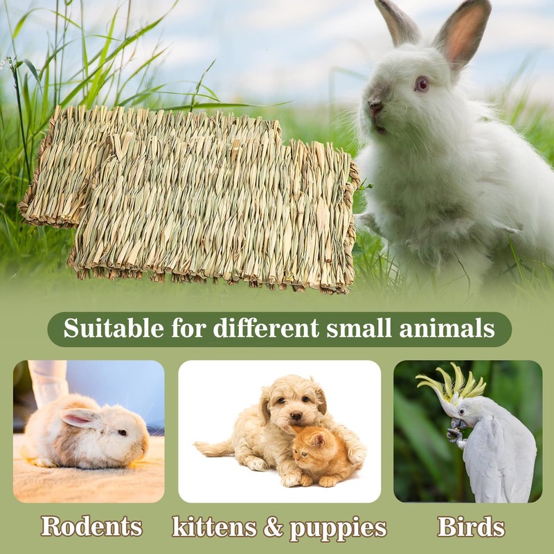 Sukh 4 PCS Rabbit Grass Mats - Natural Hay Woven