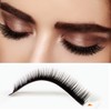 hair2heart Silk Fake Lashes False Eyelashes - B-Curl 0.10, 10