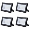 treoir 50 W Floodlight: 6000 K Cool White Super Bright