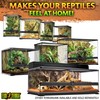 Exo Terra Glass Terrarium Kit, for Reptiles and Amphibians, Nano,