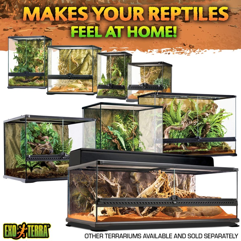 Exo Terra Glass Terrarium Kit, for Reptiles and Amphibians, Nano,