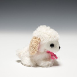 Candy Fontaine Toy Poodle White