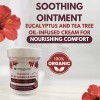 Dermaline Hibiscus Flower& Arnica Ointment 2.5 fl oz (3-Pack)