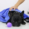 Ultra-Absorbent XL Dog Towel – 140x70cm Soft Coral Fleece Microfibre,