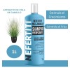 Shampoo Cola Caballo Crecimiento Nefertiti