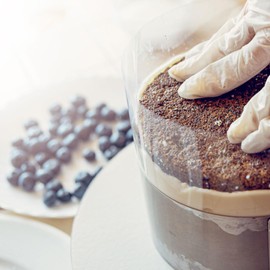 Patisse 2126 Insert Film 8 cm x 20 m