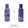 Clairol Shimmer Lights Shampoo Conditioner 2 Ounce (59ml) Travel Size