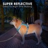 PHOEPET No Pull Dog Harness, Unique Colors Reflective Adjustable Dog