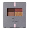 Chacott Face Color Palette 515 Roman Terracotta
