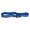 Reflective Elastic Belt w/ Buckle Closure-Royal Blue
