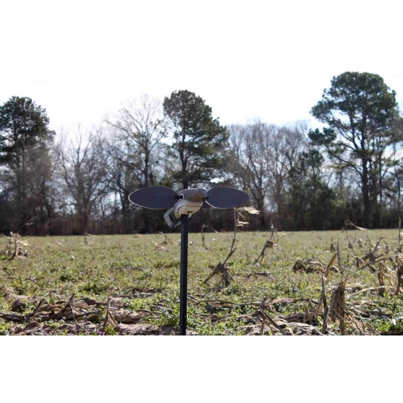 MOJO Outdoors Elite Series Dove Decoy – Ultra Realistic Motion