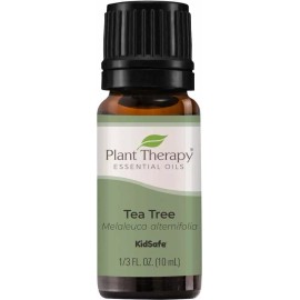 Plant Therapy Aceite Esencial De Arbol De Te 10ml