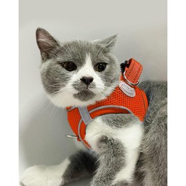 Joytale Small Dog Harness, Breathable Mesh Step-in Vest, Reflective Soft Padded Harnesses for Cats and Puppies Dogs, Orange, XXXS