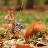Squirrel Skirt Harness Leash Set Ferret Vest Adjustable Traction Rope