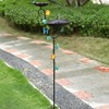 Aifeorzo Free Standing Solar Bird Bath, 58" Tall Decorative Birdbath
