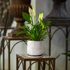 6 Inch Embossed Leaves Design Stoneware Planter Pot with Drainage