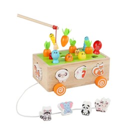Montessori Wooden Toddler Toys for 2 3 4 Years Old Boys Girls, Shape Sorters Carrot Harvest Game Wooden Toy for Age 3+ Child,Preschool Learning Fine Motor Skills farm animals Toy