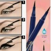 Pincel Indeleble Para Ojos Terramar, Negro Mate, 1 Gr.