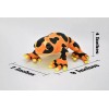 CWG Frog, Orange, Poison Dart, Very Nice Plush Stuffed Animal