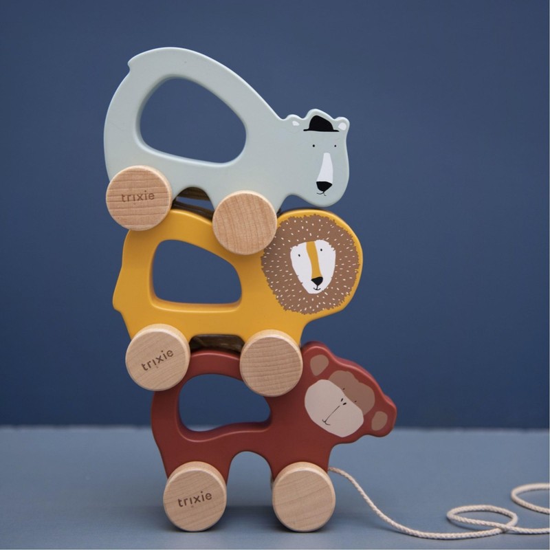 Trixie Wooden Pull Along Animal (Polar Bear)