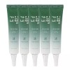 Gainbechek 5개 청 어성초 아이크림 40ml 약모밀 진정케어 주름개선 미백기능성 5 Pieces Cheong Eoseongcho Eye Cream 40ml Yakmomi Relaxing Care Anti-Wrinkle Brightening Functional [Basic product]