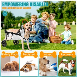 Dog Wheelchair for Back Legs, Wheelchair for Small & Medium Dog, Dog Wheelchair Cart, Doggy Wheelchair with Disabled Hind Legs, Walking Mobility Aids for Small Pet, Hind Limbs Dog Cart with Wheels, XS