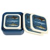 Sharks Reusable Snack Boxes (Set of 3)