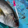 NatureBoys RockRider 120g Glow Pink