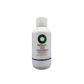 Algas Marinas 2.0 – Suplemento Alimenticio Líquido con Astaxantina, Fucoxantina y Polifenoles de Manzana – 120 ml