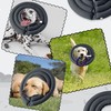 GQIRIL Soft Dog Cone Collar - Adjustable Comfy Recovery Cone