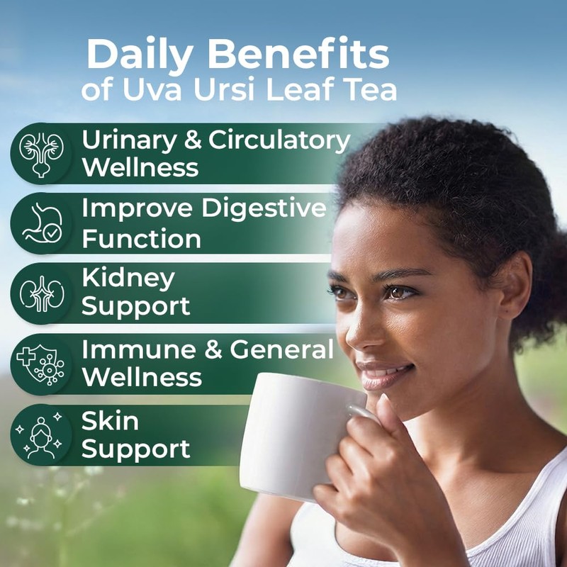 4 oz. Uva Ursi Leaf Uva Ursi Tea Herbal (Arctostaphylos