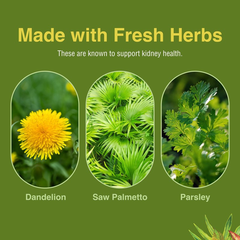 Herbs, Etc. Kidney Tonic Softgels - Function Supplement - Natural