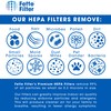 Fette Filter - 1 Replacement True HEPA Filter Compatible with