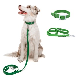 Dog Collar and Leash Set | BearBone Waterproof Dog Collar and Long Leash for Dogs | Versatile Dog Leashes for Small Dogs with Small Dog Collar (Green, Small)