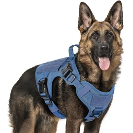 rabbitgoo Tactical Dog Harness for Large Dogs, Heavy Duty Dog Harness with Handle, No-Pull Service Dog Vest Large Breed, Adjustable Military Dog Vest Harness for Training Hunting Walking, Blue, XL