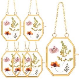 Marsui Set of 6 Double Glass Frame for Pressed Flowers 2.5 x 3.5 Inch Small Hanging Floating Glass Photo Octagon Frames for Dried Flower Picture Artwork Plant Specimen(Gold)