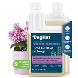 Bughut Plant-Based Garden Defense Spray – Good for Indoor & Outdoor Plants, Gentle for Houseplants, Vegetable Plants, Trees – Helps Manage Powdery Spots, Gray Issues, and Black Marks – 8 FL oz