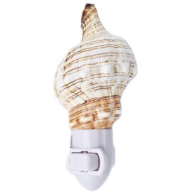 Florida Shells and Gifts Seashell Night Light Real Fox Conch Beach Decor w. on/Off Switch Beautiful Coastal Cottage