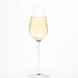 Champagne Glasses dezaia- Glasses Dishwasher Safe 240ml RN – 13254cs