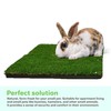 Gotta Go Grass for Small Animals – Natural Real Grass