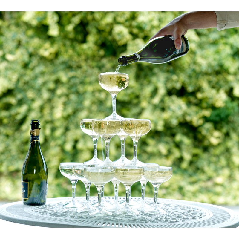 Virtually Glass Quality Reusable Polycarbonate Plastic Coupe Cocktail Glasses Unbreakable